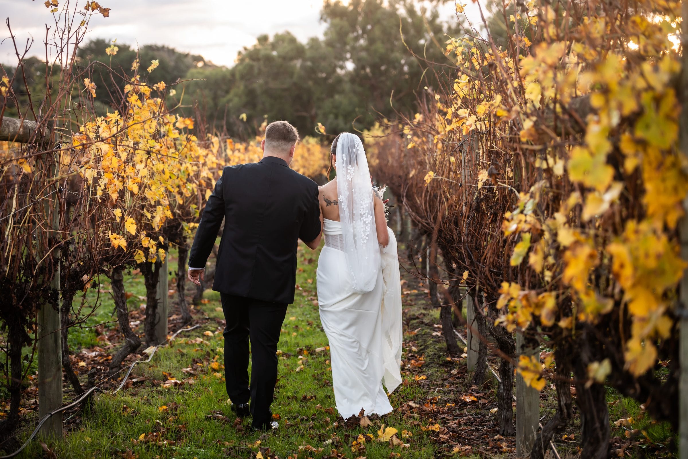 Couple walking together through the Immerse Winery vineyard
